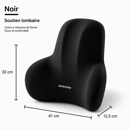 Coussin Lombaire Ergonomique 2-en-1 | Voiture & Bureau, Fini le Mal de Dos
